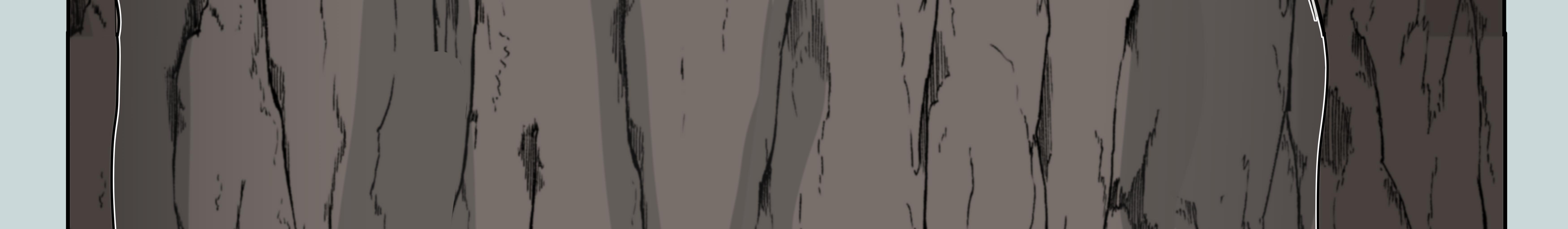 Image 8 Cut